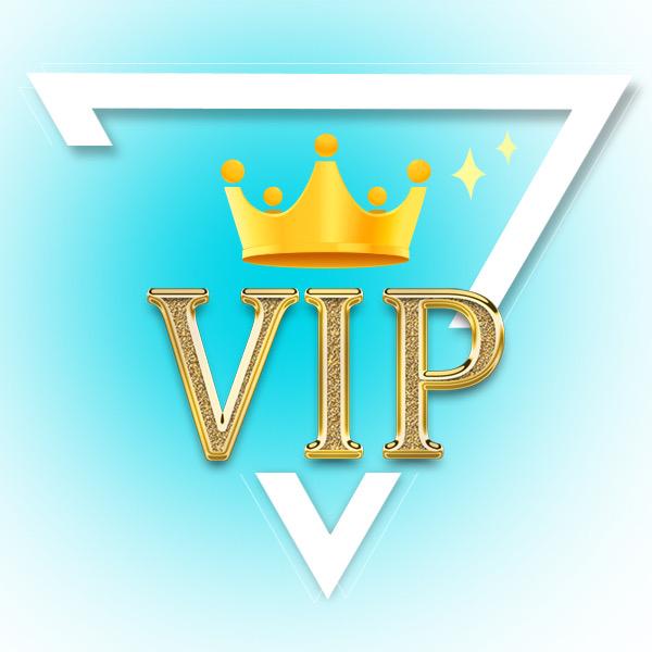 会员VIP快又省