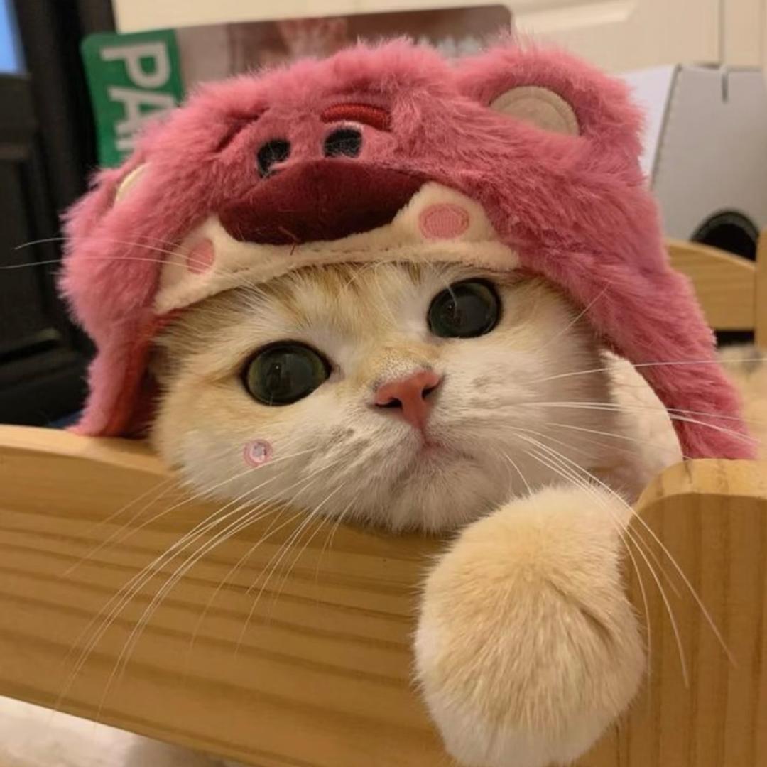 孩子气🎈