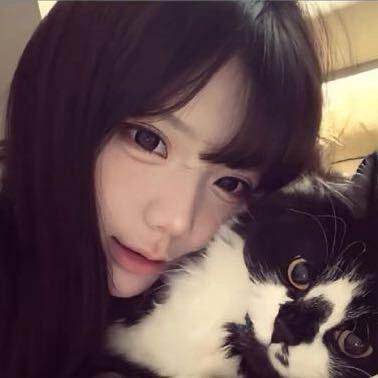 除了死都是擦伤