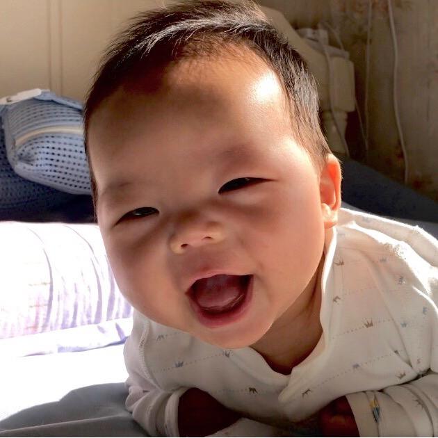 Z家奶爸