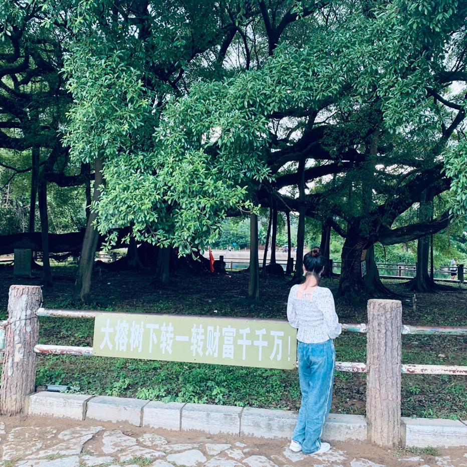 小维的记录生活