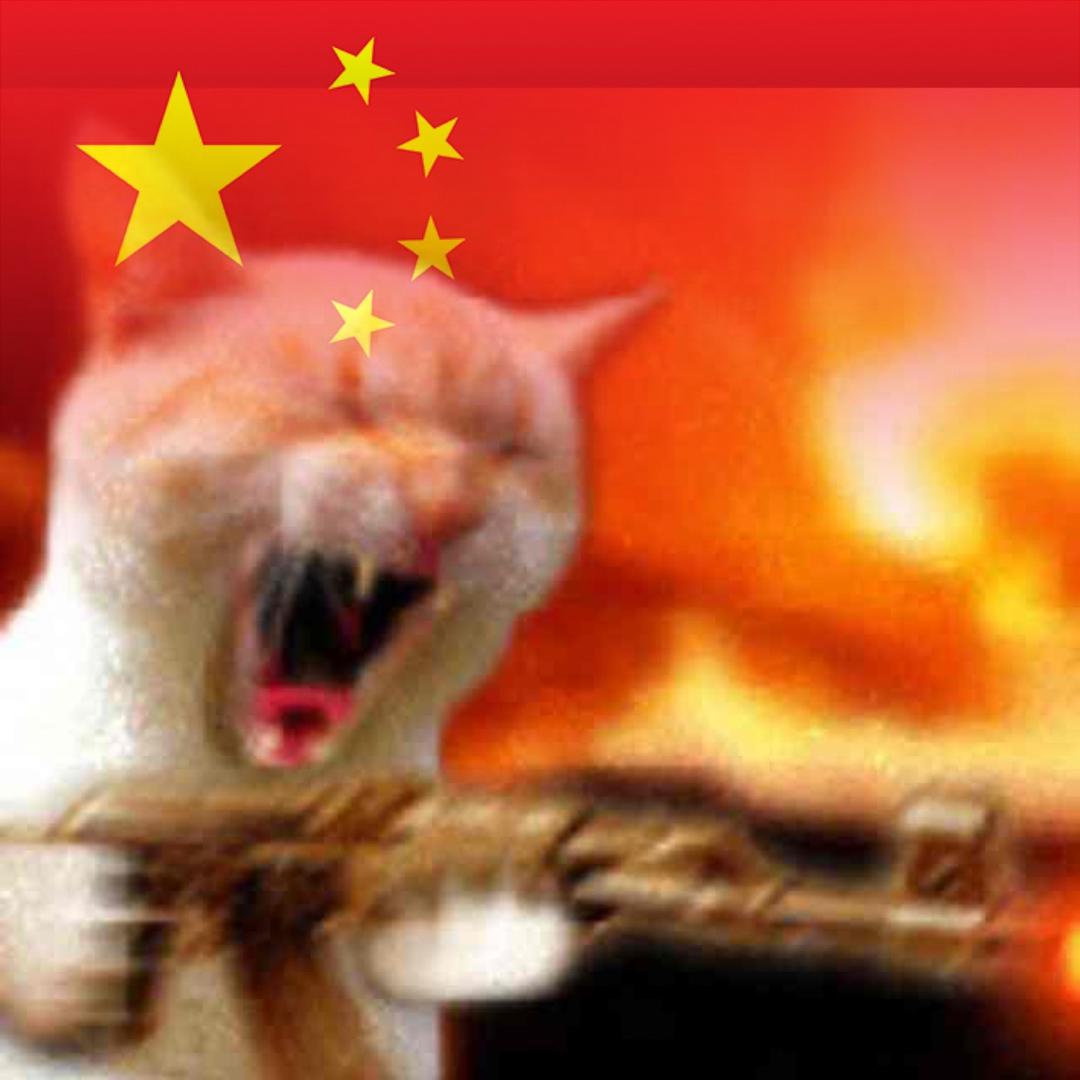 愤怒的大猫ᴬⁿᵍʳʸ
