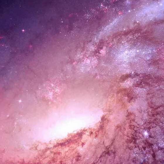 没温度的那双手