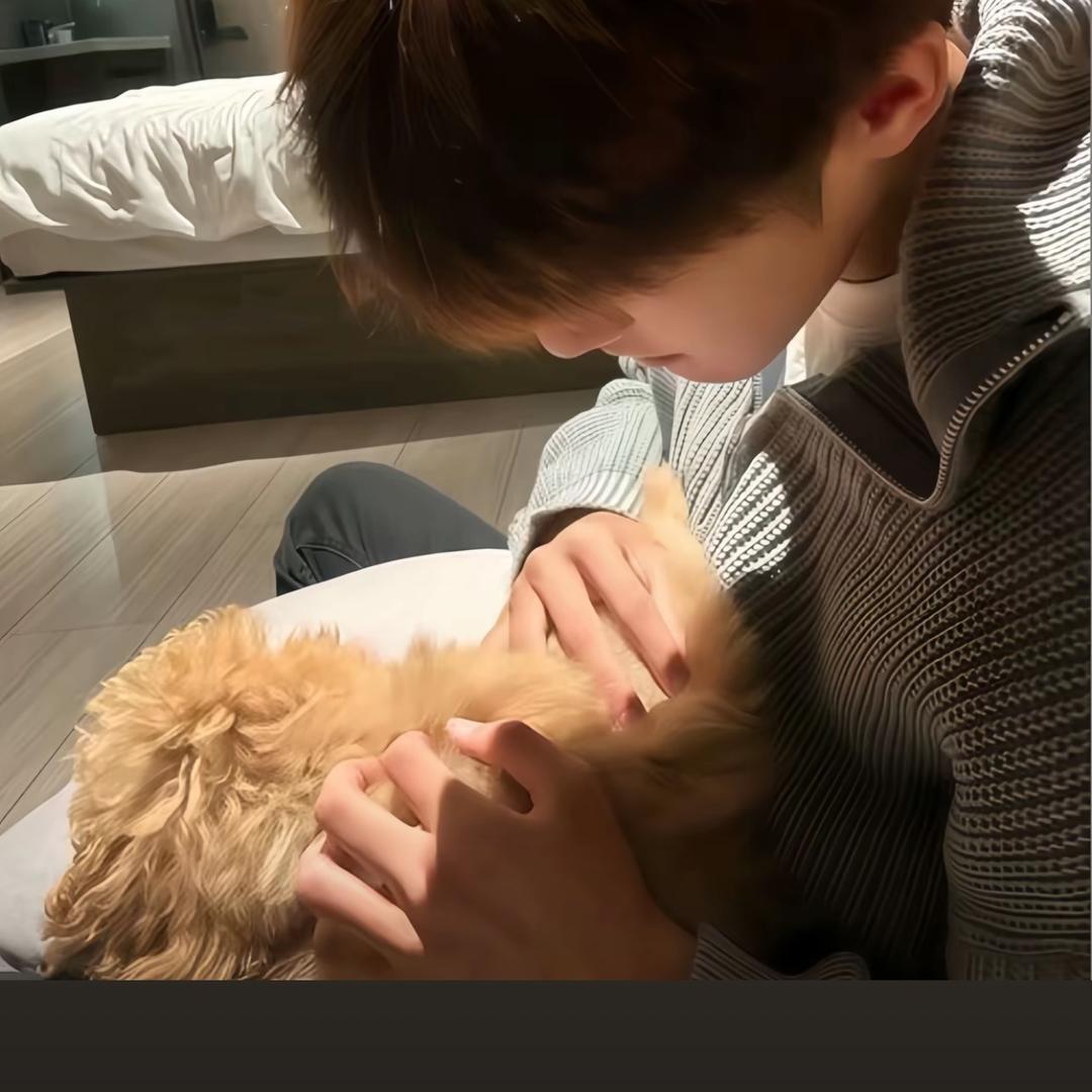 明天见⌯>ᴗ0⌯