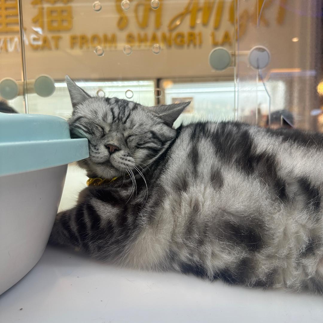 看看咯