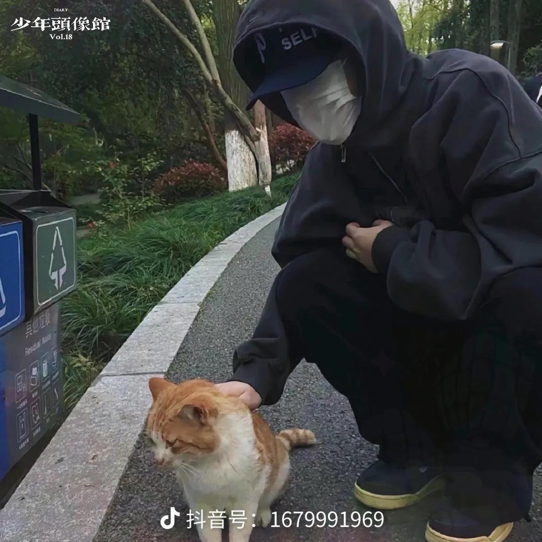 雾起.