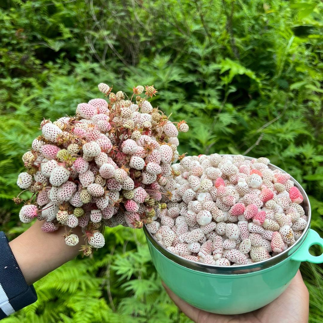 🈷️缺不美，却诗意！！