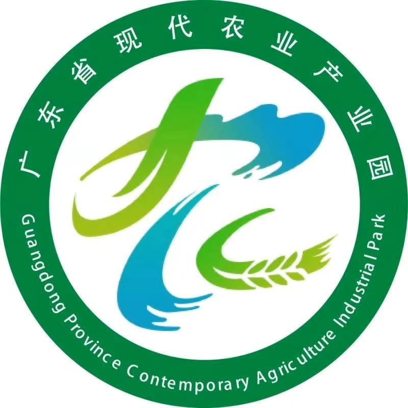 封开广远杏花鸡