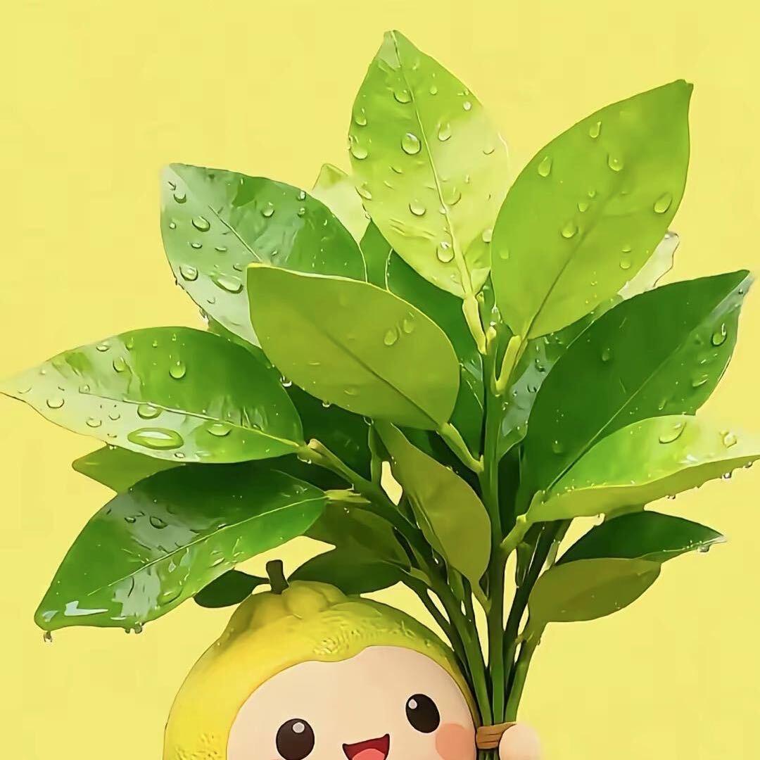 王哈哈