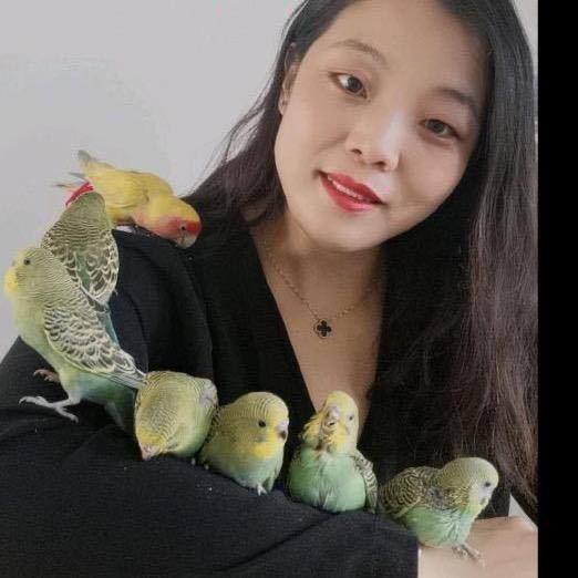 丁丁（手养鹦鹉）会说话的虎皮