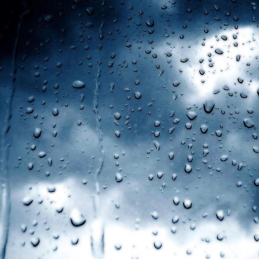 蓝雨……