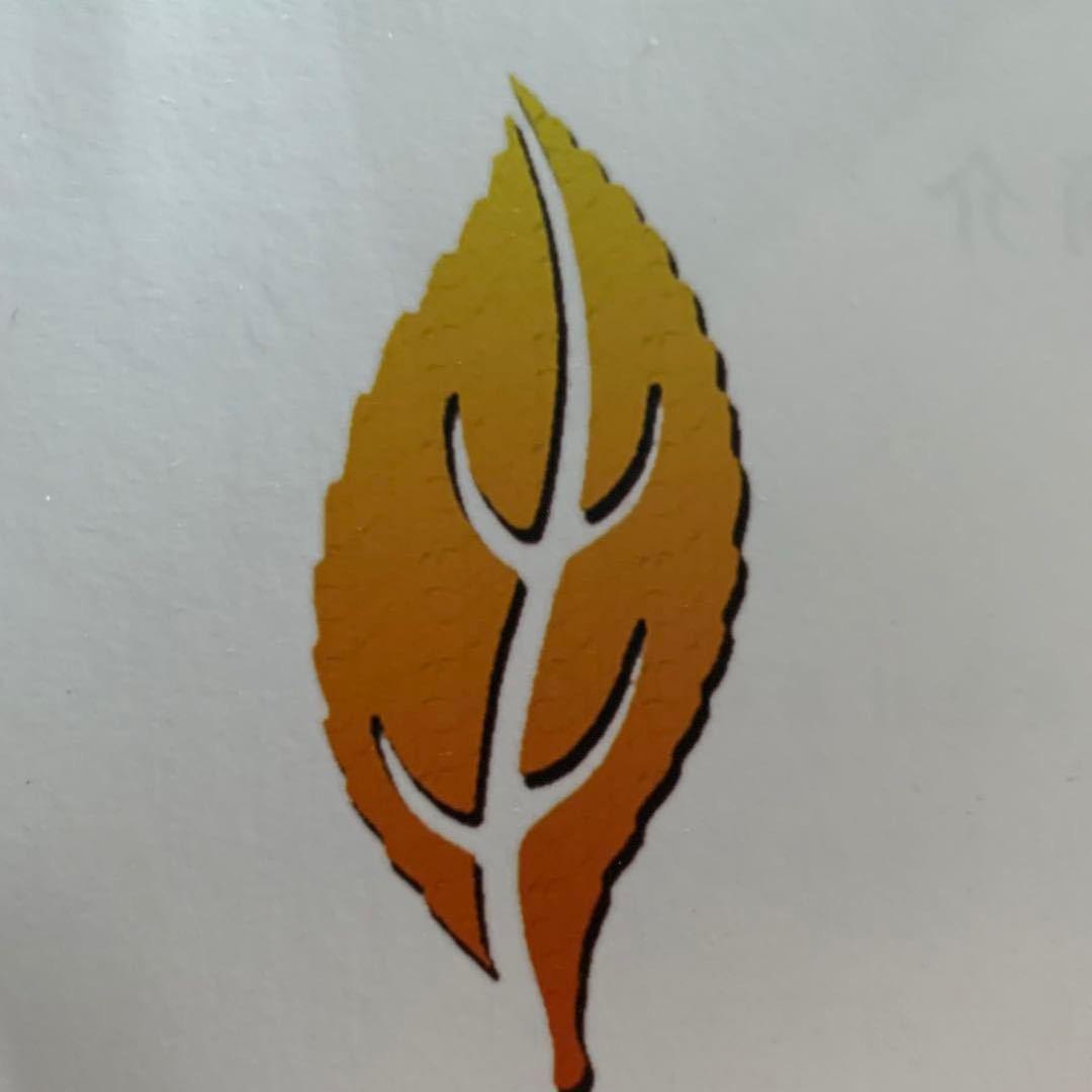 黄金叶茶业
