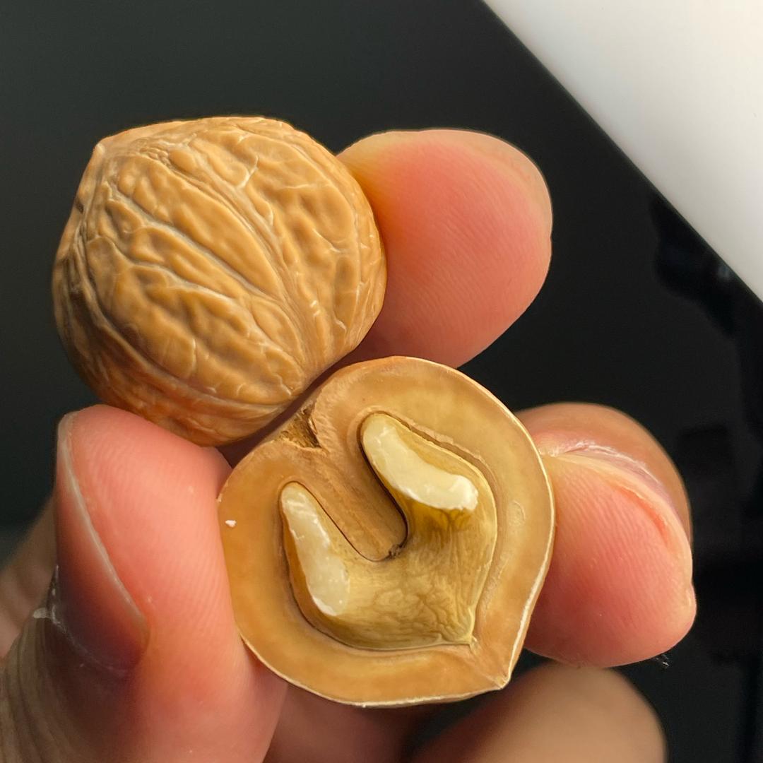 老李小核桃