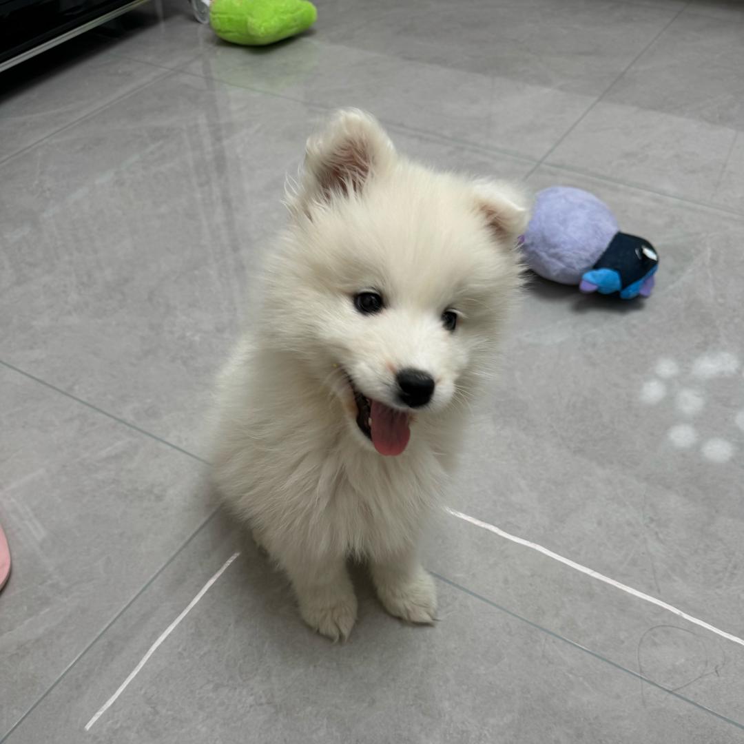 ㅤㅤㅤㅤㅤㅤㅤㅤ ㅤ福宝是耶