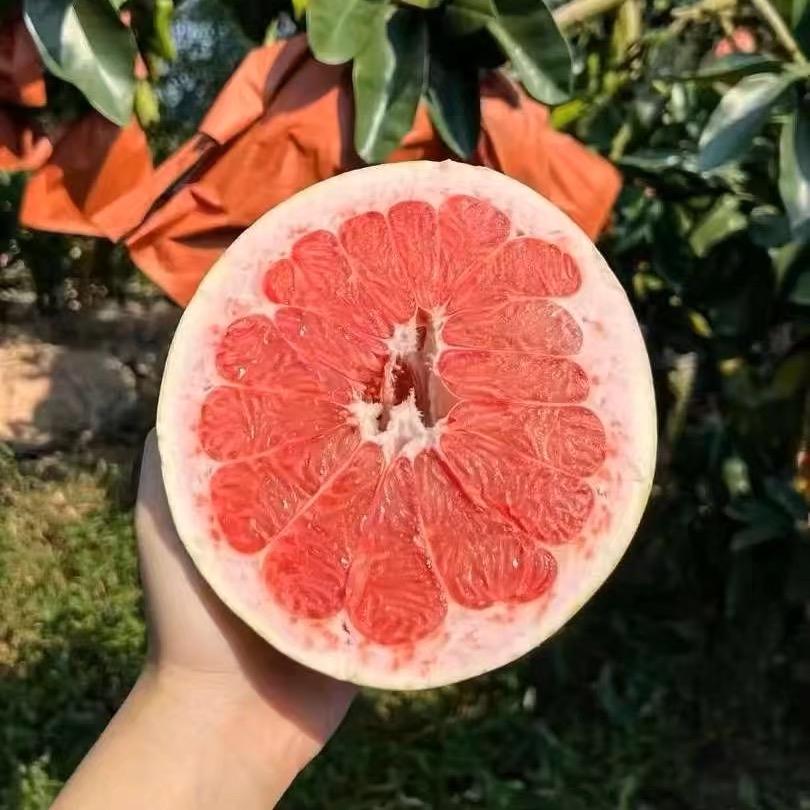 小溪柚子