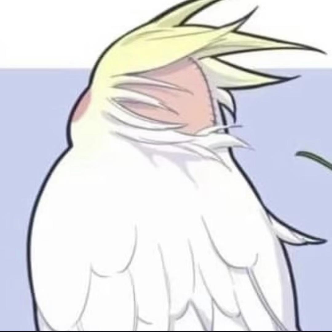逗鹦鹉哈