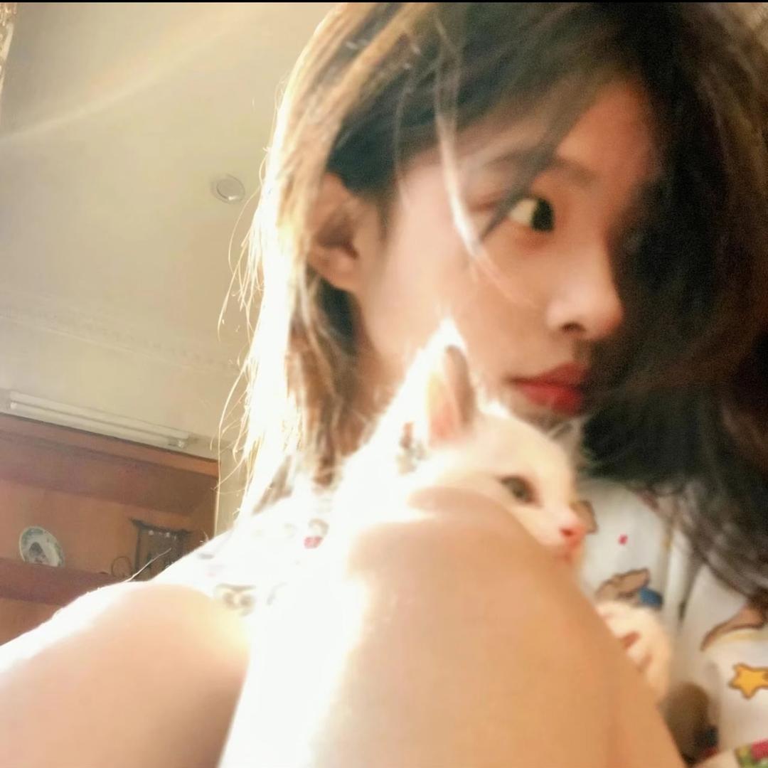 悲伤的前妻.