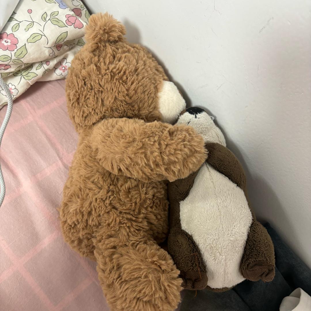 三叶虫是古生代