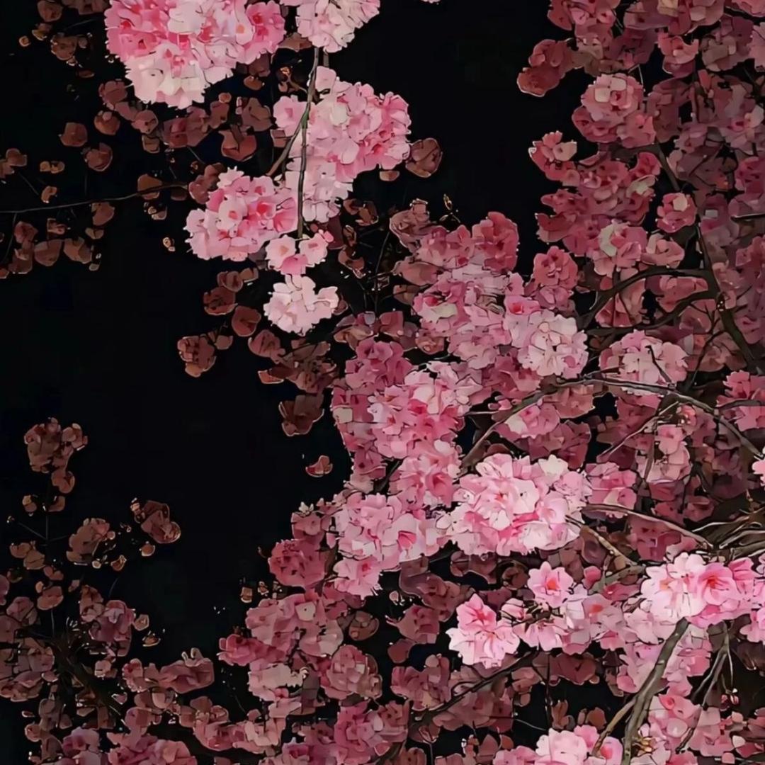 番茄不是西红柿