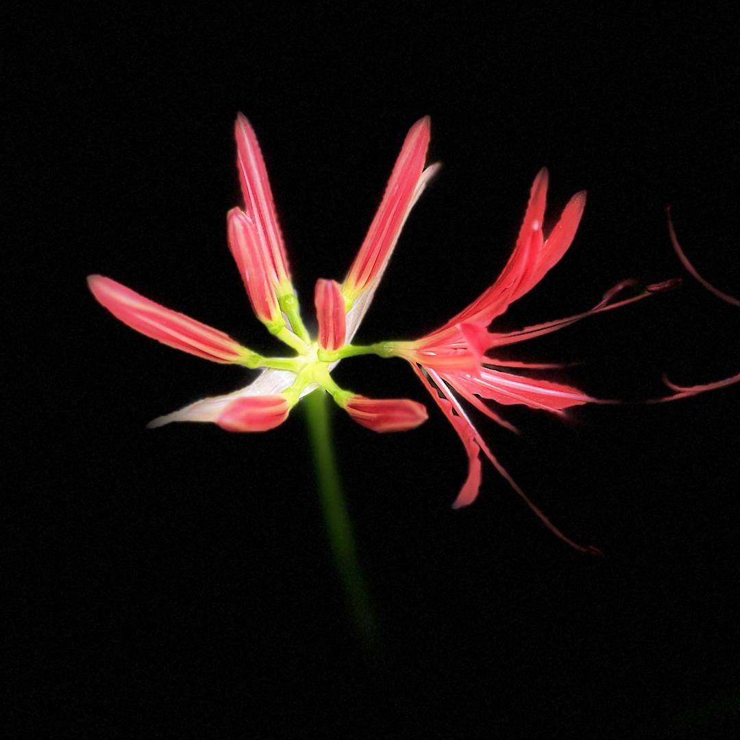 ࿐: ഒᩚ🚬ಇ᭄一介ཽ俗人໊࿆ྃ࿐