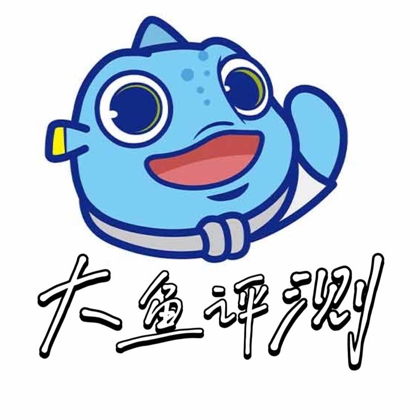 大鱼测评