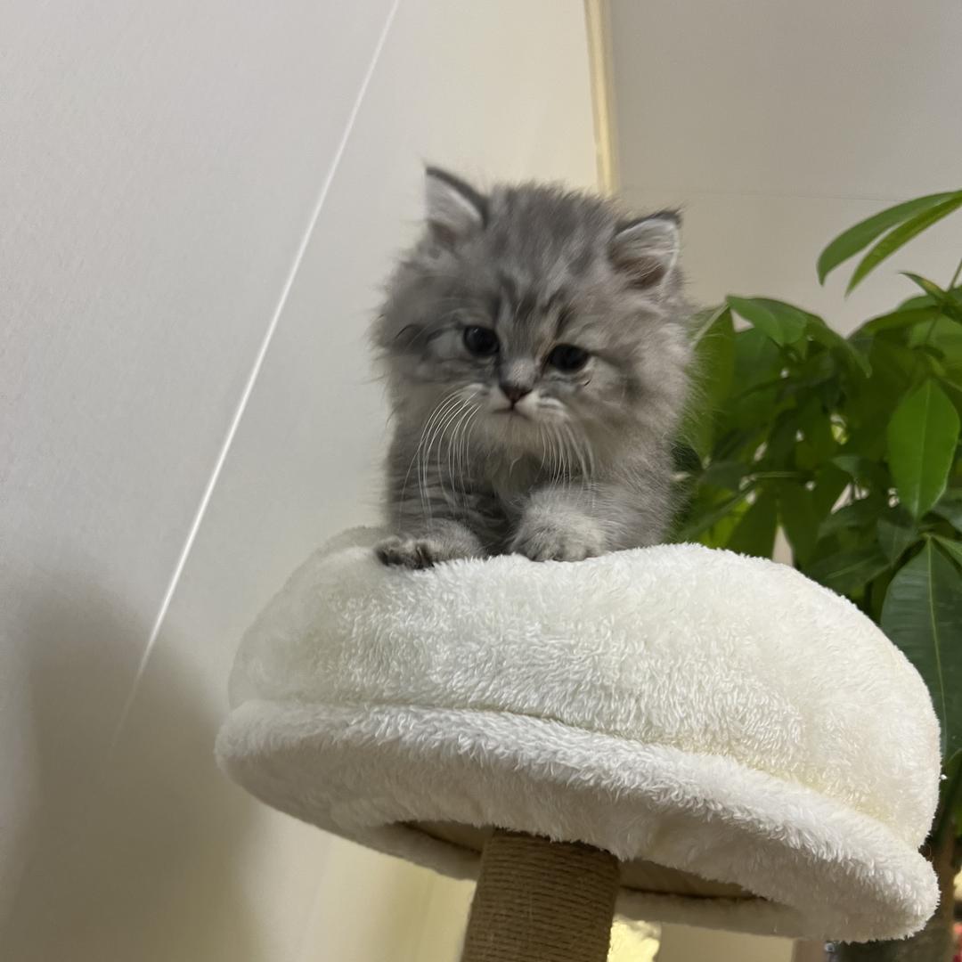 瑞天下婚庆用品店