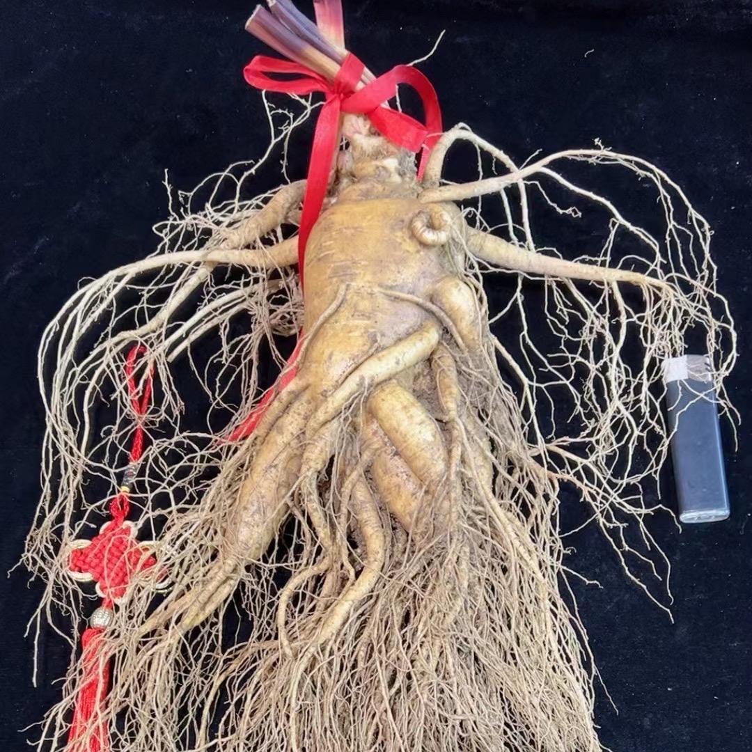 长白山优品推荐