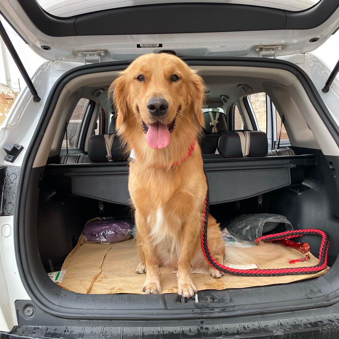 多多的日常小日子