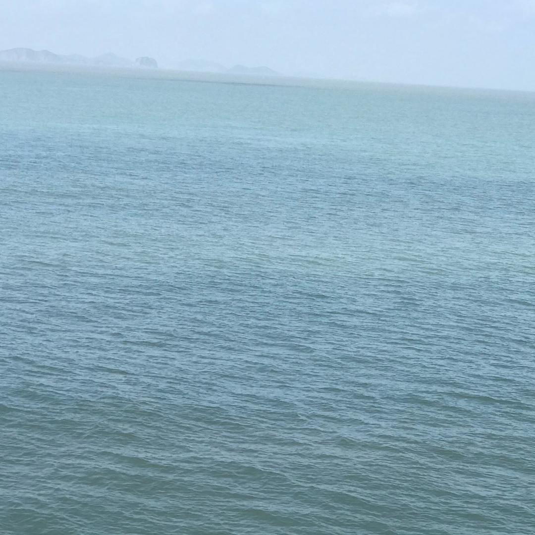 Z阿俊j