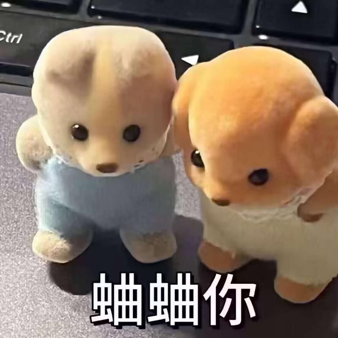 黑猫030