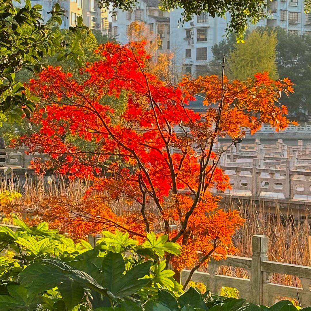 靳不错