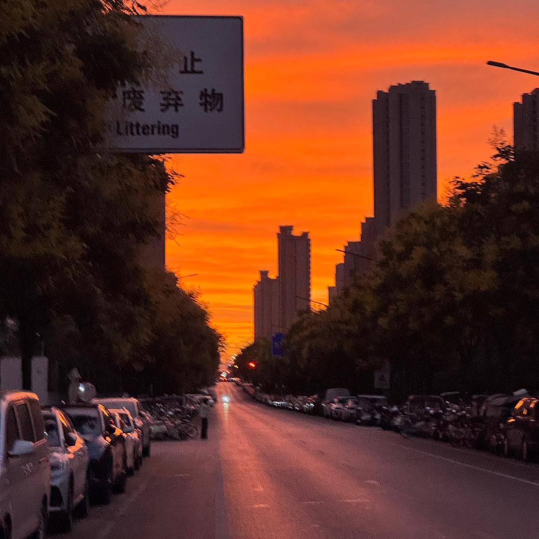 慶非得已