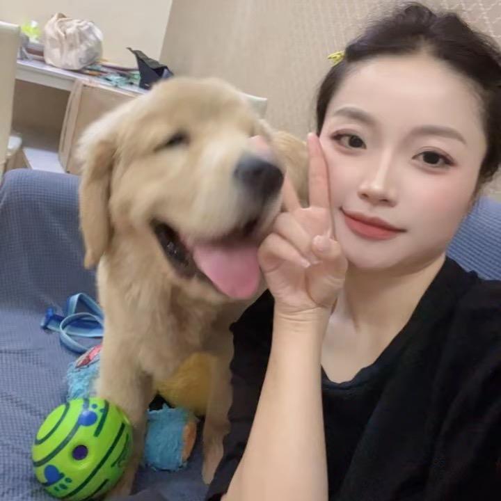 周黑（一辆快乐的小金毛）