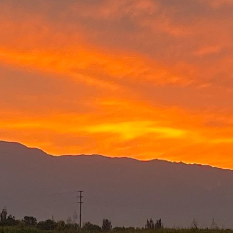 三角洲跑刀仔北亡（养鸽日常）