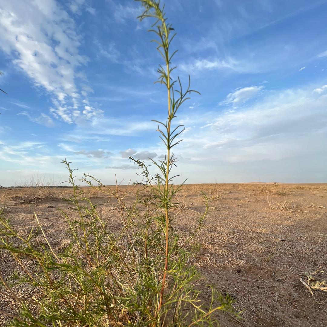 一颗草【家庭农场】