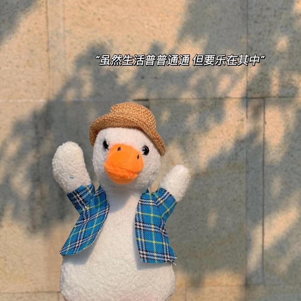 向日葵🌻