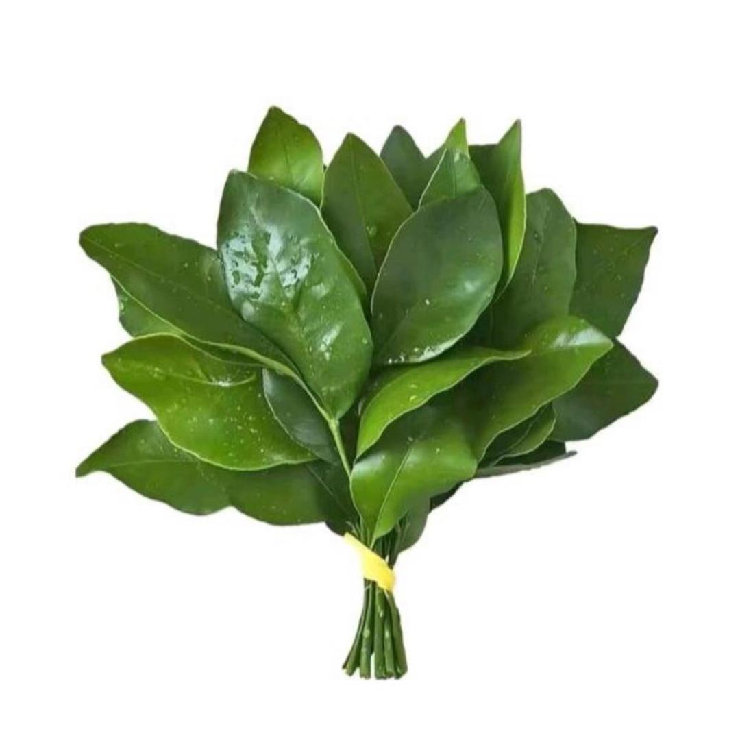 玉-