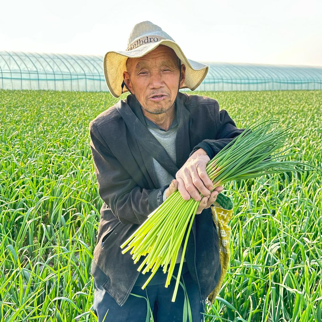 陈大人