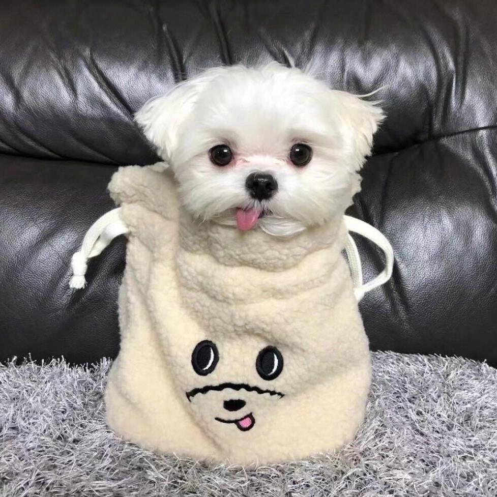 Xenia_
