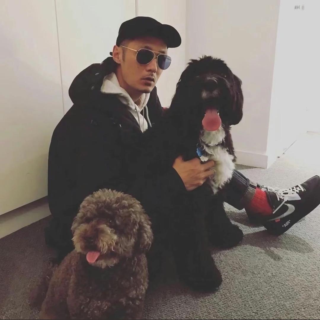 去码头整点咩猫