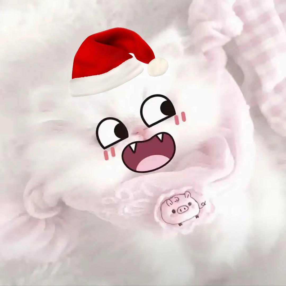 数绵羊^