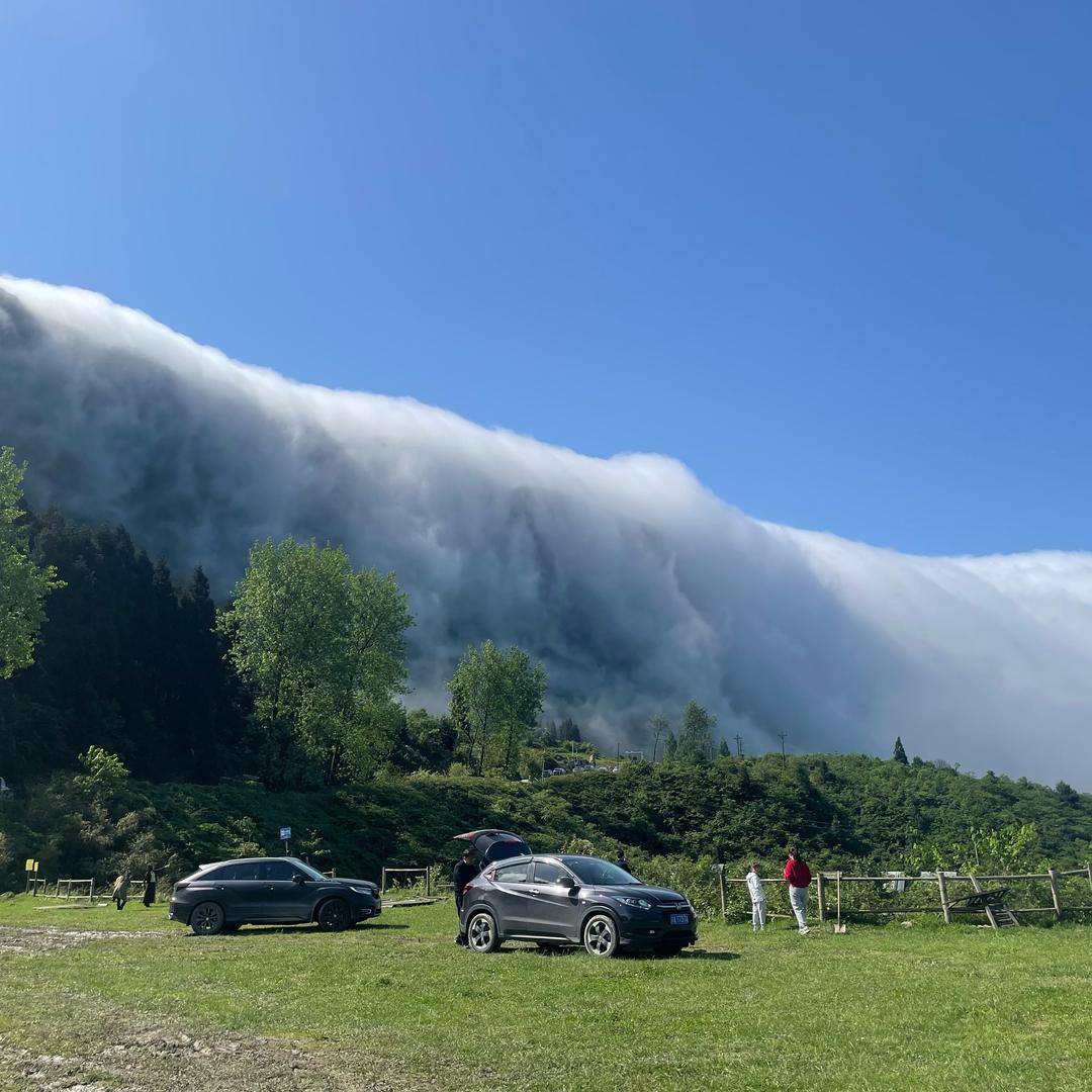 陶子🍑（风吹岭，田家小院）