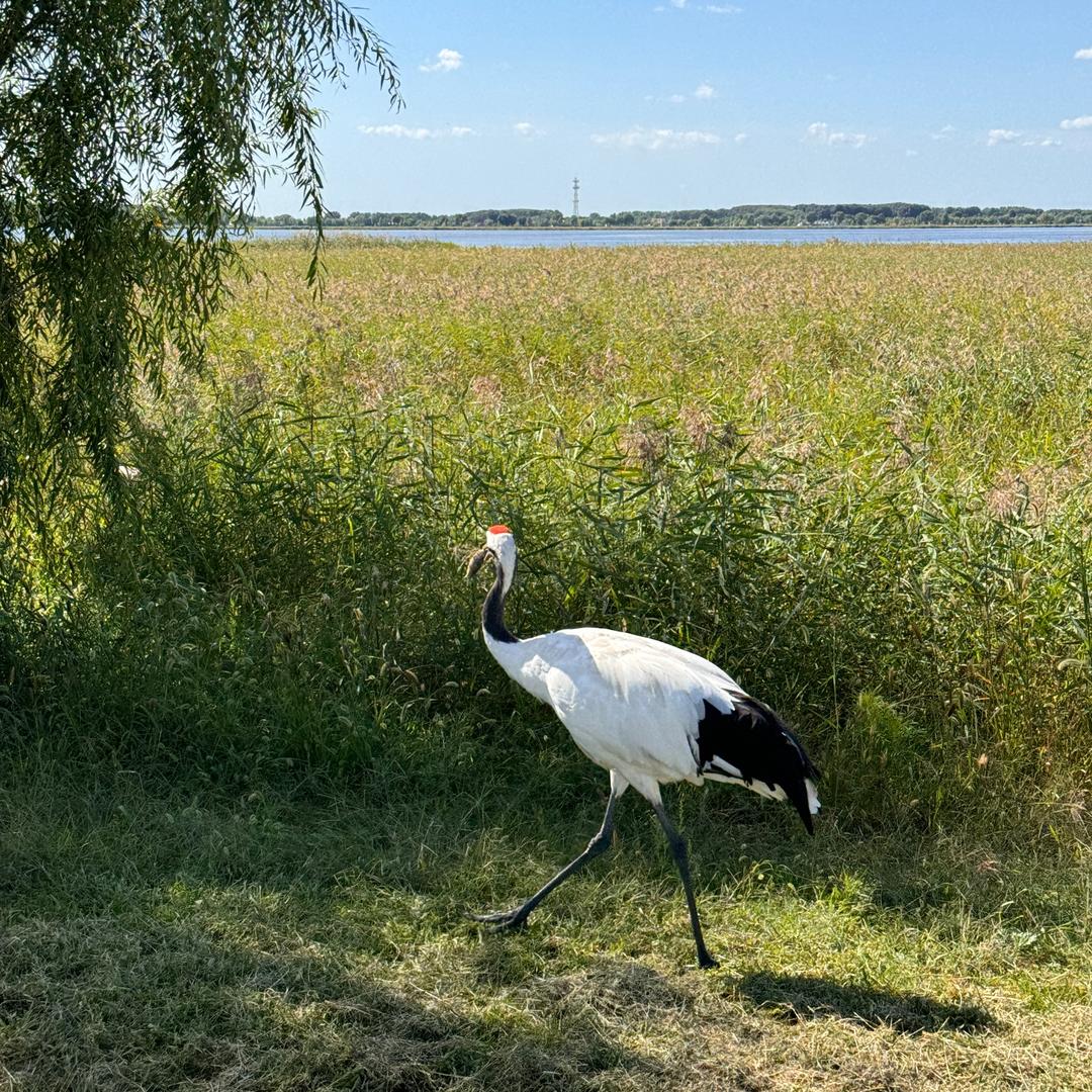 呼伦贝尔哈尔滨雪乡专线领队
