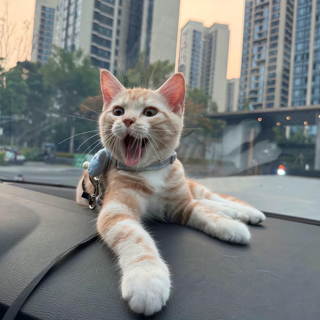 念、