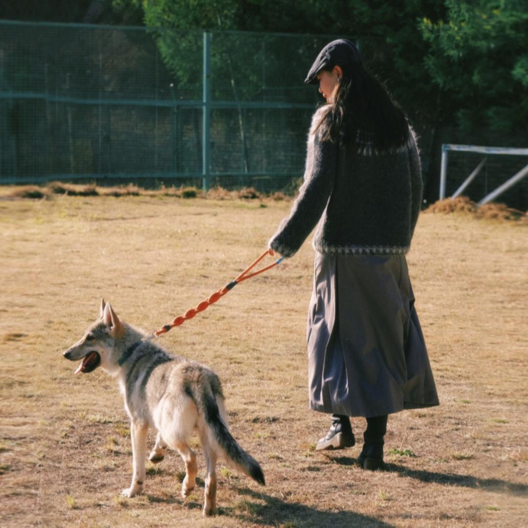 既不想学也不想干
