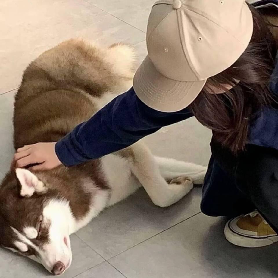 循环 .