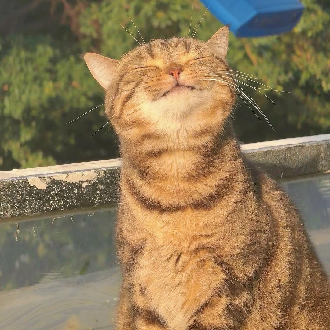 空山新雨后