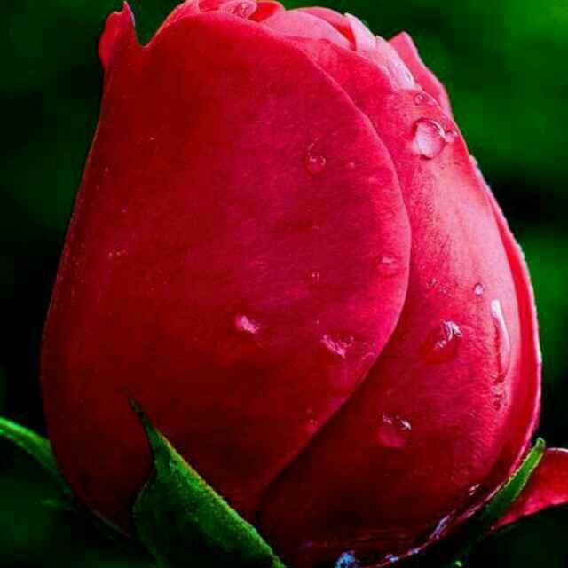 百年姬氏堂鼻炎馆新疆分店