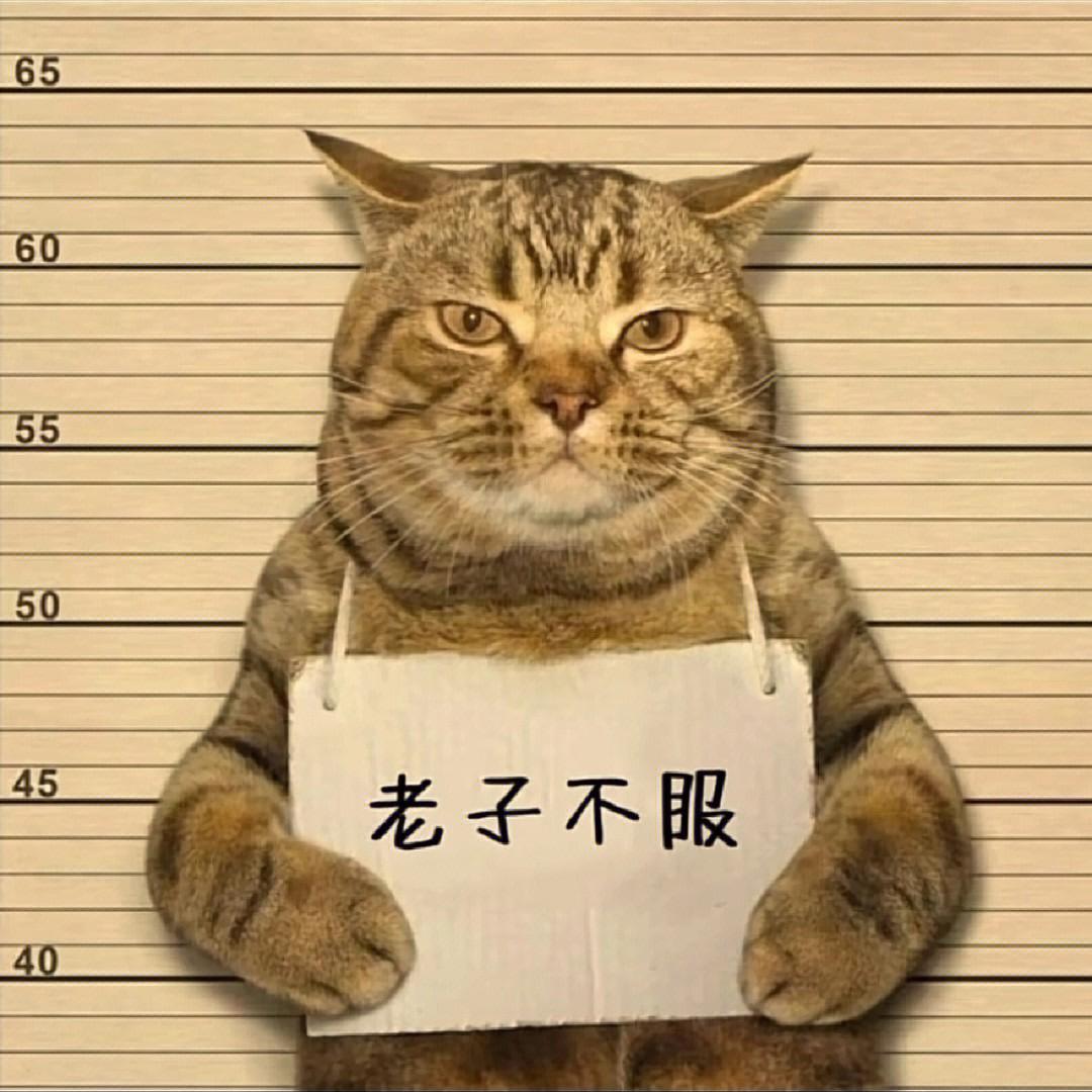 Z阿丶