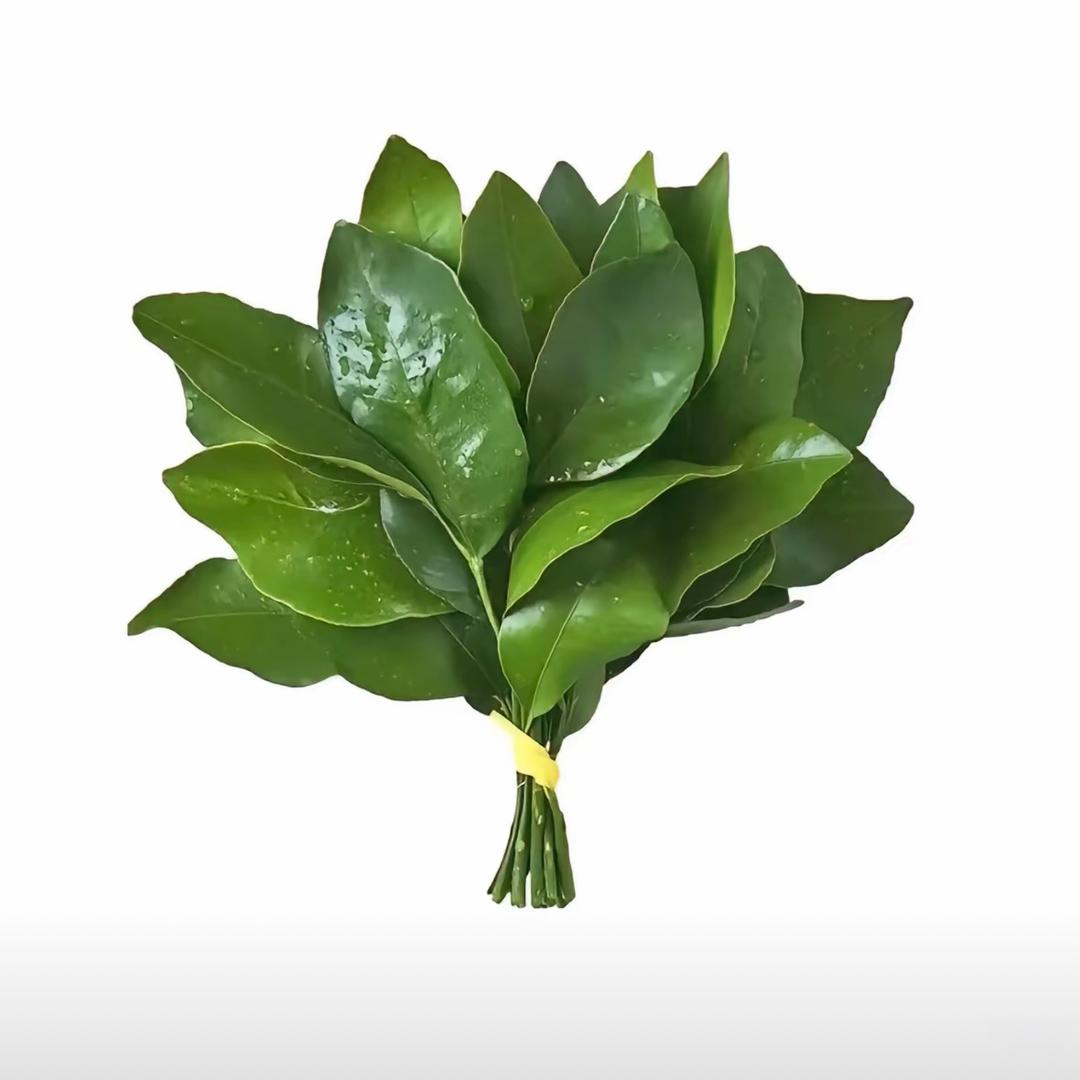 璇璇超甜